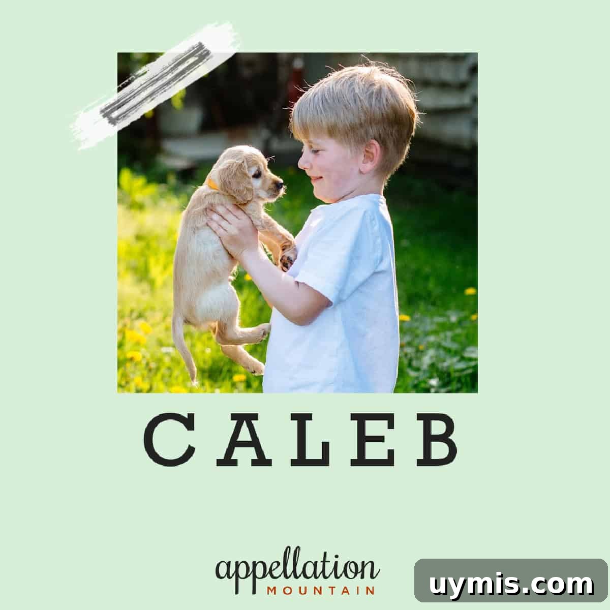 featured 10339