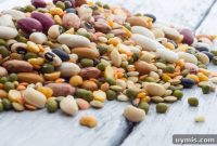 How to Cook Beans in a Thermal Cooker on a Budget