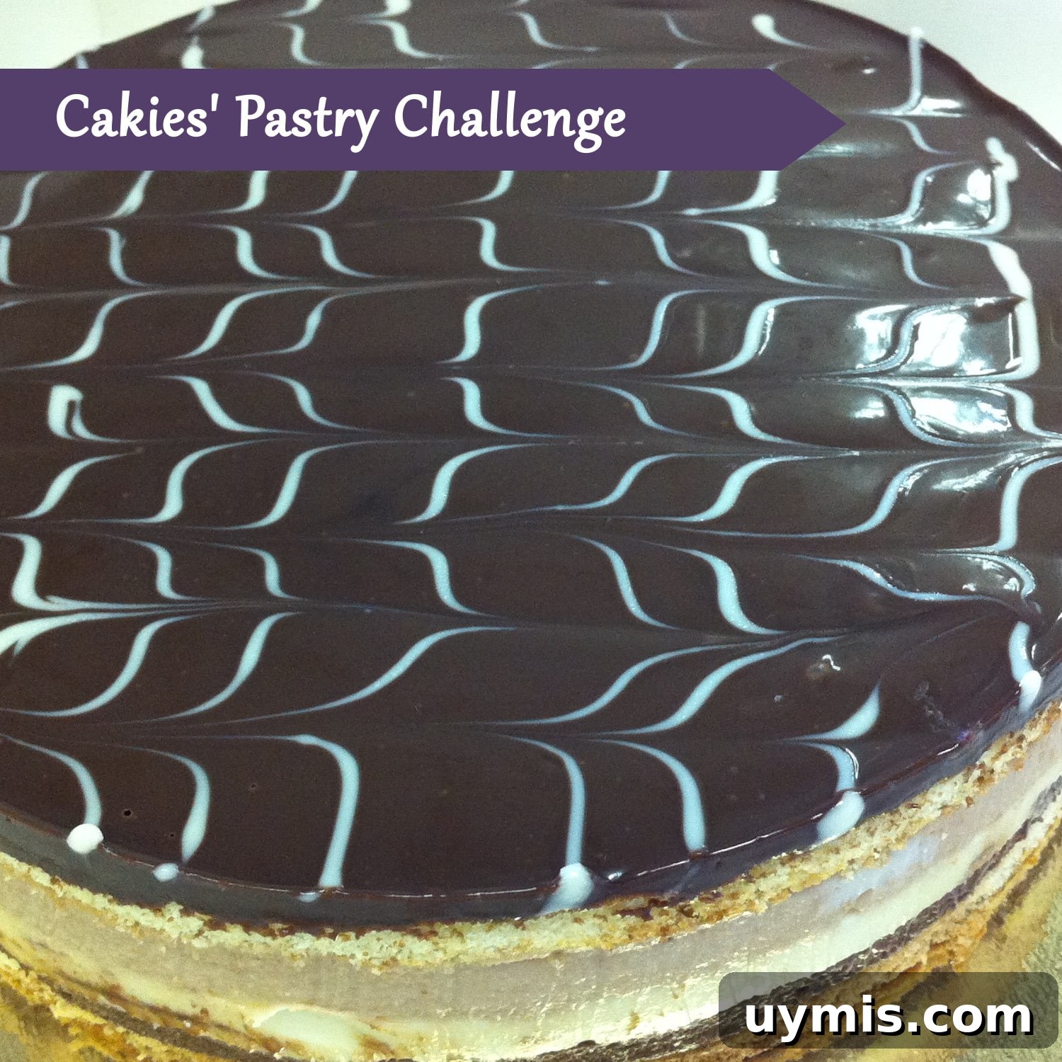 featured 1264