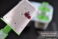 Blackberry Baileys Mini Creamsicle Recipes and Popsicle Roundup