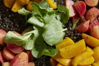Masala Lentils and Roasted Baby Beets Recipe