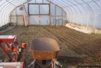 Plan Your Garden: When to Buy Seeds and Start Planting