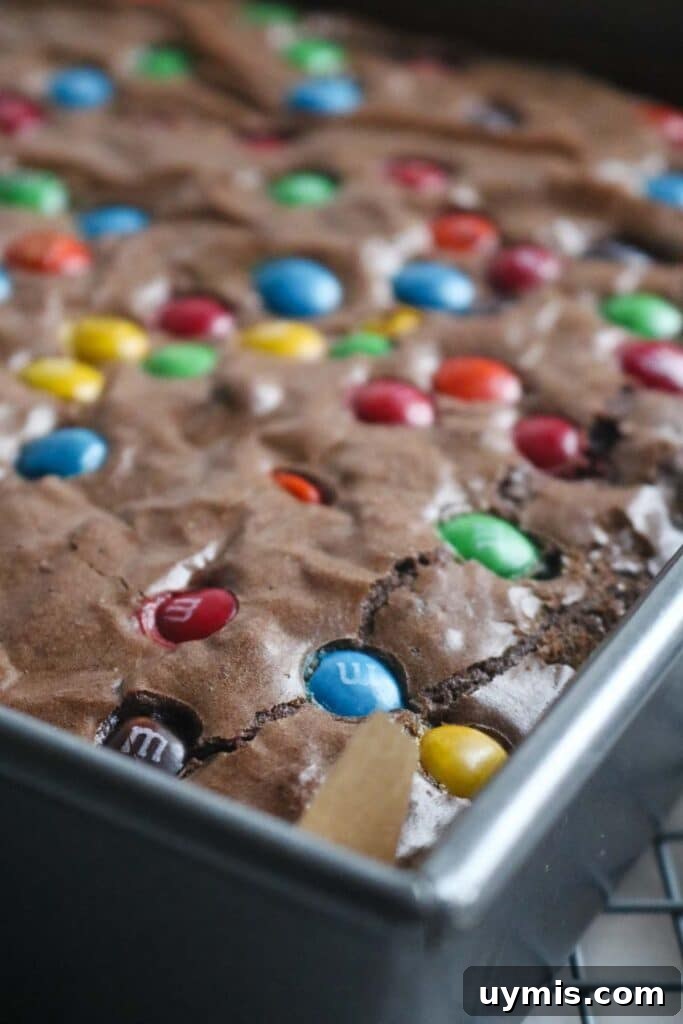 Thick and Chewy M&M Brownies Recipe 18 baked m&m brownies cooling in a pan.
