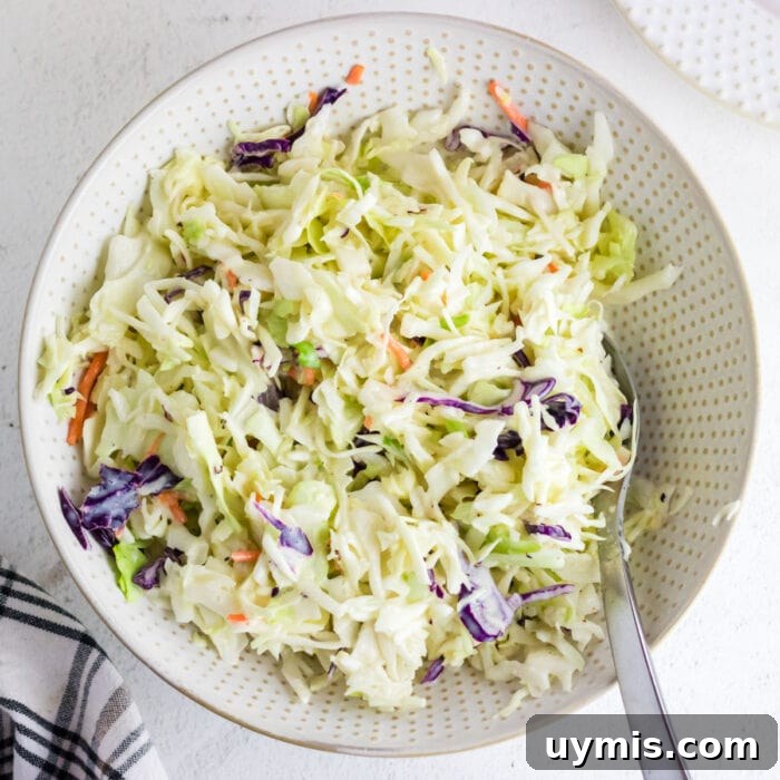 Slow-Cooker Dr Pepper Pulled Pork Recipe 11 Overhead view of coleslaw for feature image.