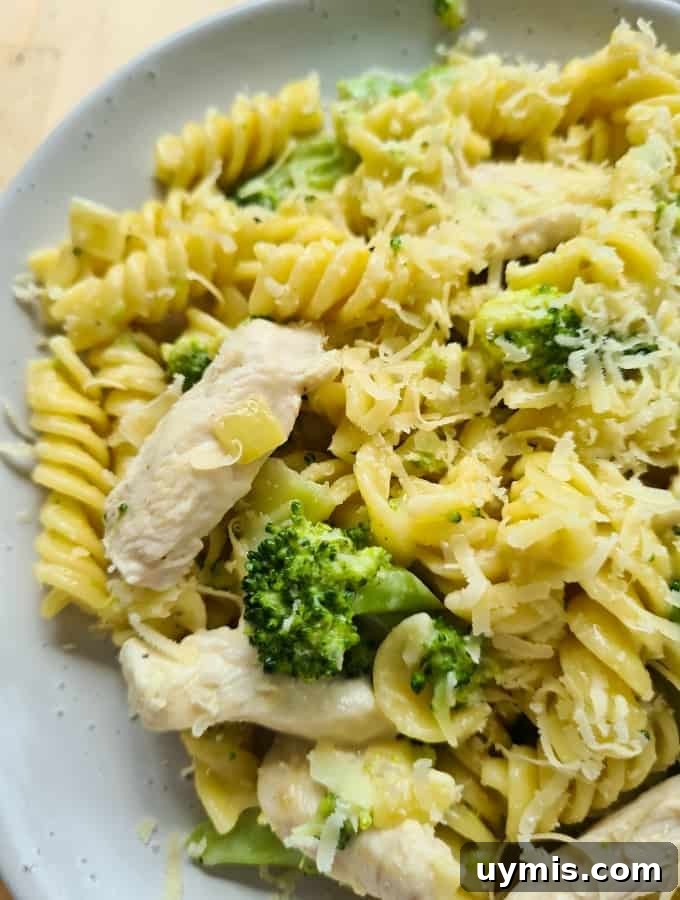Light Chicken and Broccoli Pasta Recipe 11 Close up image of chicken and broccoli pasta on a plate.