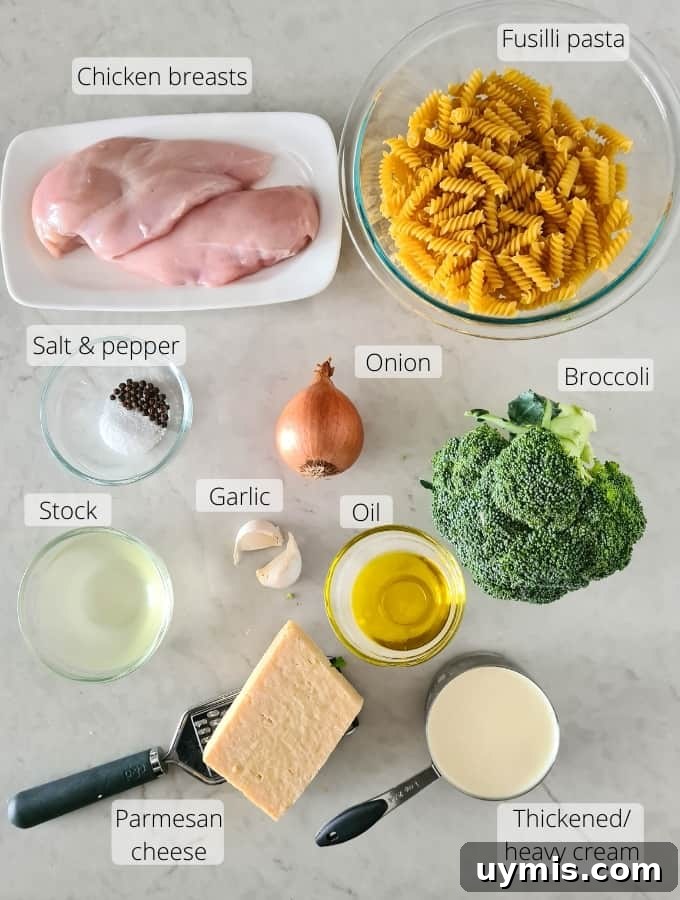 Light Chicken and Broccoli Pasta Recipe 3 Overhead shot of all ingredients required to make this dish.
