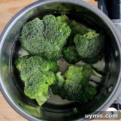 Light Chicken and Broccoli Pasta Recipe 5 Broccoli cooking in boiling water