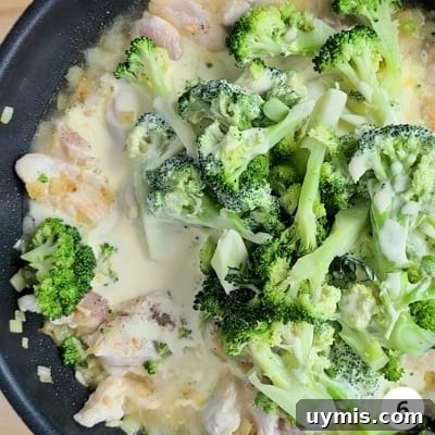 Light Chicken and Broccoli Pasta Recipe 9 Broccoli, cream and stock added into the pan