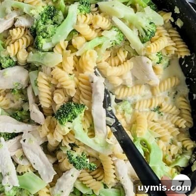 Light Chicken and Broccoli Pasta Recipe 10 Cooked pasta being mixed through with broccoli, chicken strips and creamy sauce