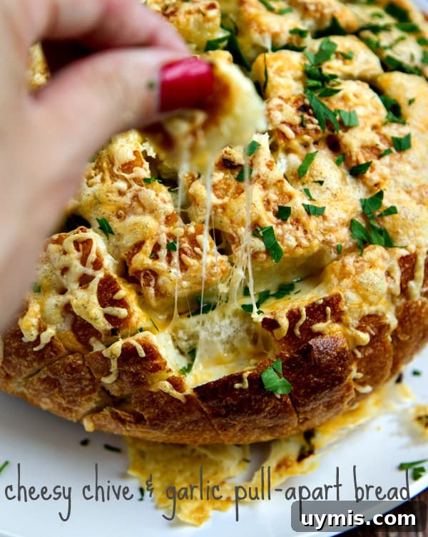Cheesy Chive and Garlic Pull-Apart Bread Recipe 2 cheesy chive & garlic pull-apart bread - EASY and tastes AMAZING!