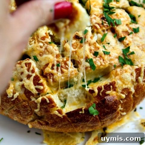 cheesy chive & garlic pull-apart bread - EASY and tastes AMAZING!