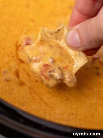 A tortilla chip dipping into a cheesy rotel dip in a slow cooker.