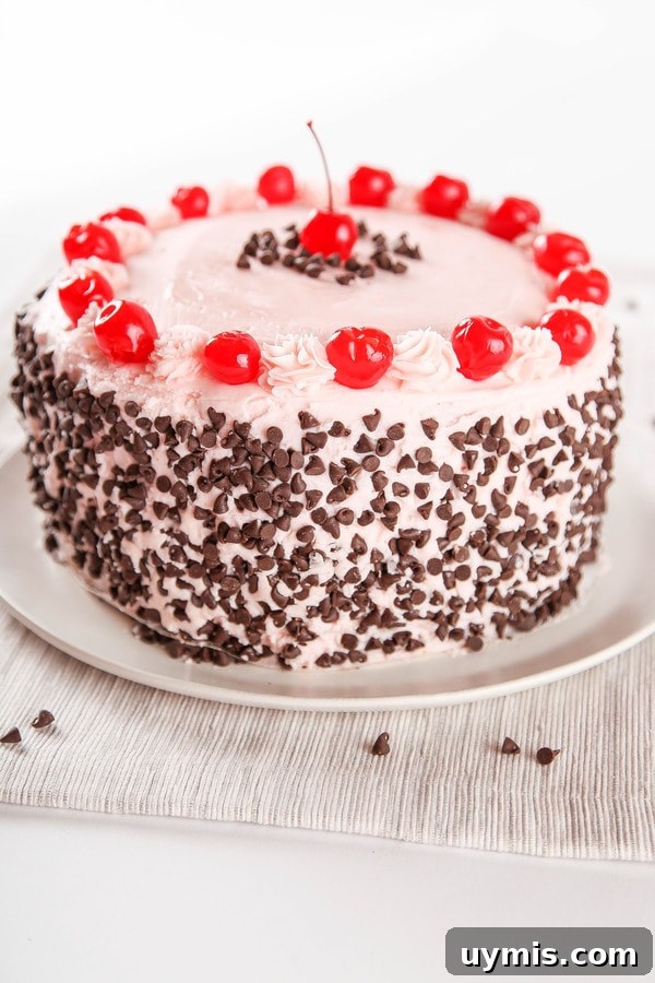 Cherry Chocolate Chip Cake Recipe 2 Cherry Chocolate Chip Cake topped with cherry buttercream, mini chocolate chips, and maraschino cherries.
