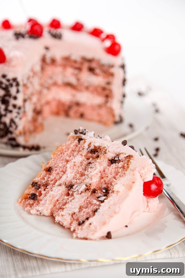 Cherry Chocolate Chip Cake Recipe 3 A slice of three-layer cherry cake with chocolate chips and cherry buttercream.