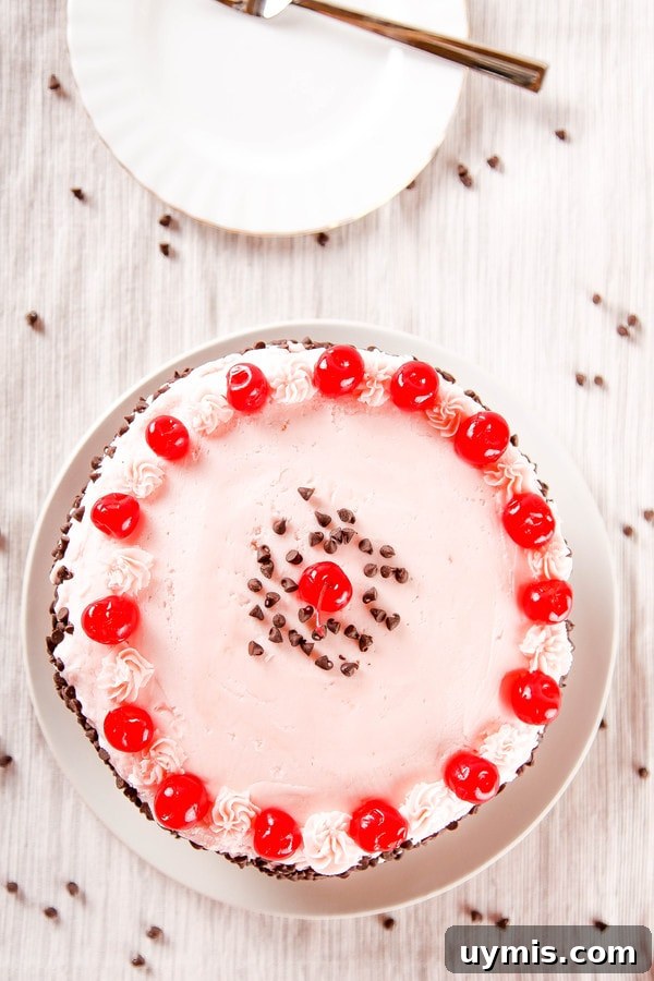 Cherry Chocolate Chip Cake Recipe 4 Top-down view of a cherry buttercream cake garnished with mini chocolate chips and maraschino cherries.