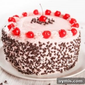 Cherry Chocolate Chip Cake Recipe 5 Old Fashioned Cherry Chocolate Cake