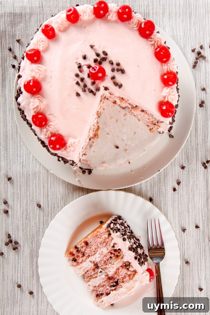 Cherry Chocolate Chip Cake Recipe 6 Cherry Chocolate Chip Cake