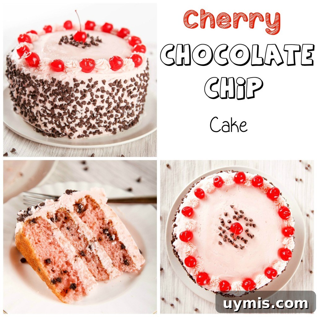 Cherry Chocolate Chip Cake Recipe 7 Cherry Chocolate Chip Cake