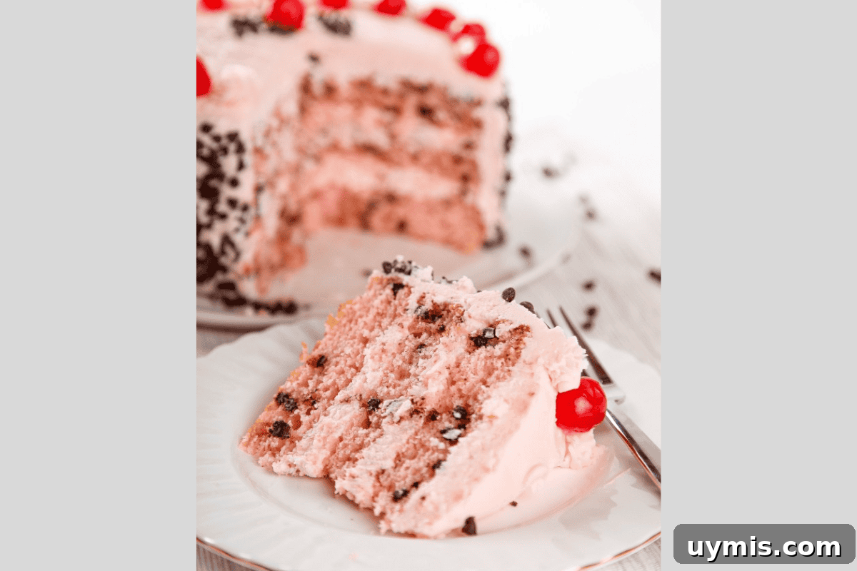 Cherry Chocolate Chip Cake Recipe 8 Cherry Chocolate Chip Cake