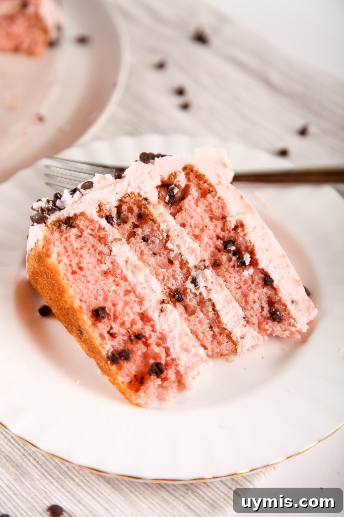 Cherry Chocolate Chip Cake Recipe 9 Cherry Chocolate Chip Cake