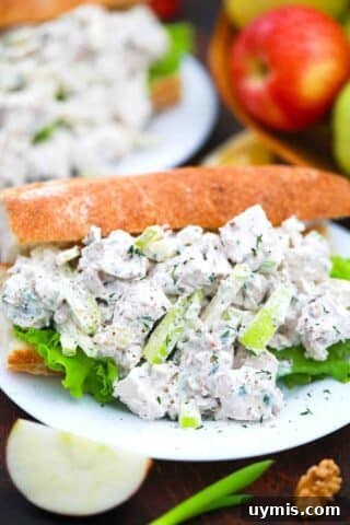 side shot of an overstuffed apple fennel chicken salad sandwich