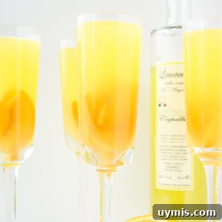 A refreshing, citrusy sangria with fresh peaches and limoncello!