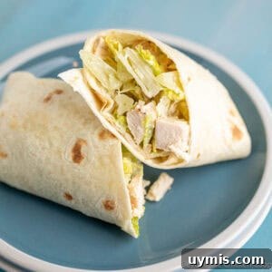 Chicken Caesar Wrap with Creamy Dressing 12 Chicken Caesar wrap on a blue and white plate.