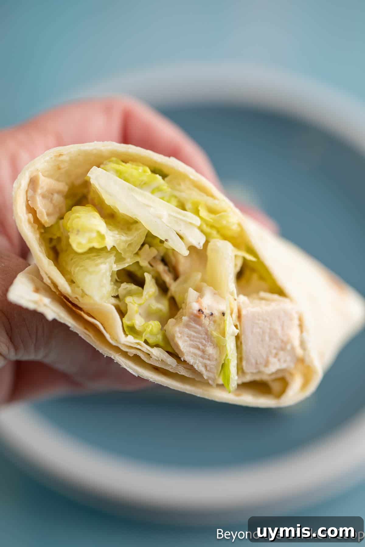 Chicken Caesar Wrap A chicken salad wrap in a tortilla.