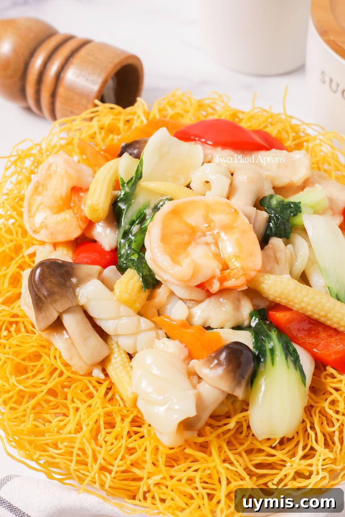 Vietnamese Crispy Noodle Stir Fry Mi Xao Gion 3 Side shot of mi xao gion close up.