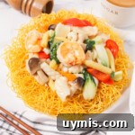 Vietnamese Crispy Noodle Stir Fry Mi Xao Gion 35 Side shot of mi xao gion thumbnail shot.