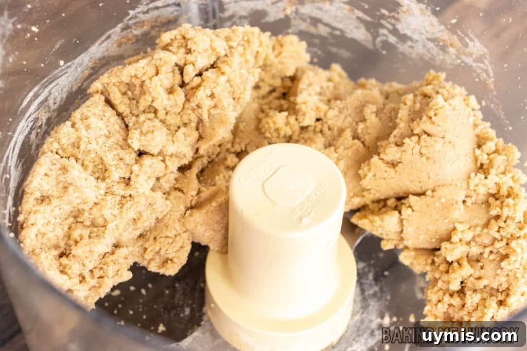 Cinnamon Shortbread Cookies Recipe 5 dough in food processor