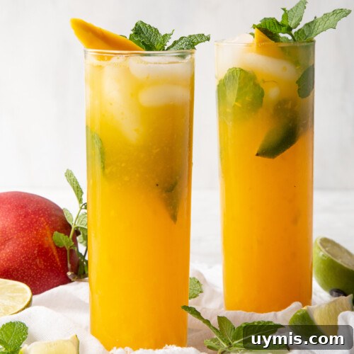 mango mojitos in glasses, garnished with mint and mango.