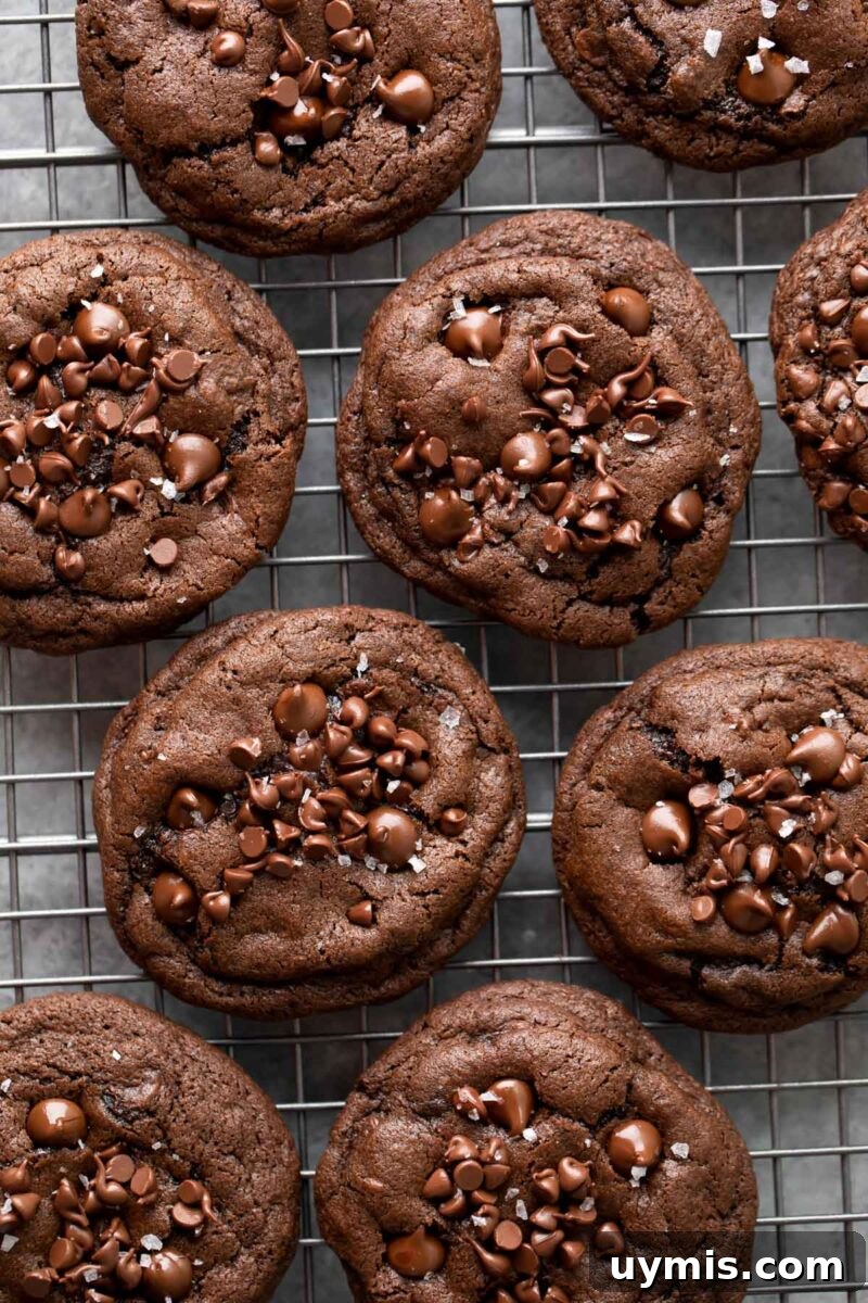 chewy double chocolate cookies