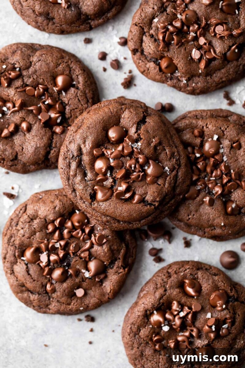 Double Chocolate Cookies