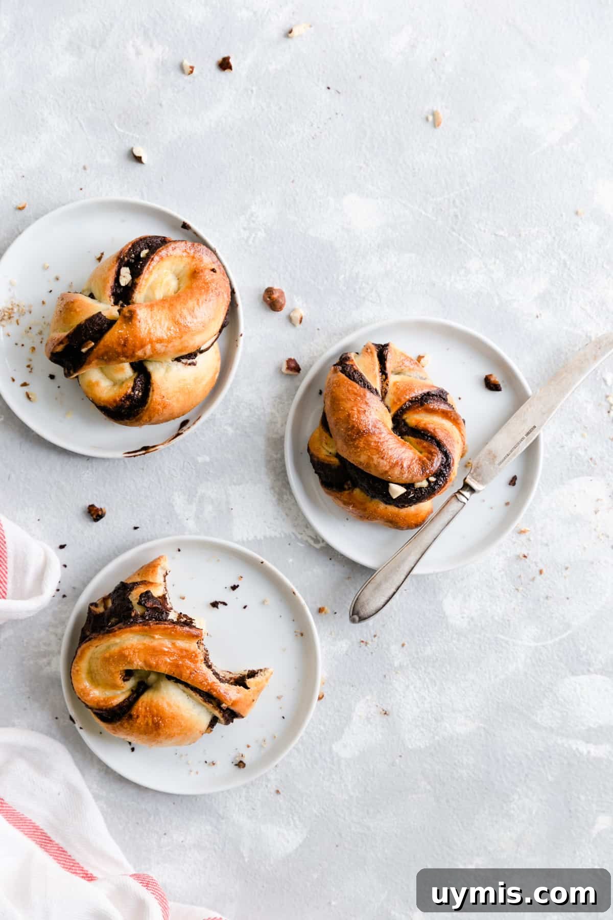 Overhead shot of 3 individual chocolate hazelnut babka buns resting on small white plates
