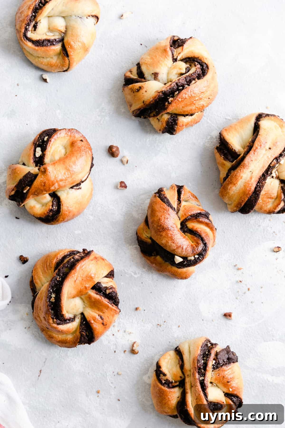 Overhead shot of baked chocolate hazelnut babka buns on a white background