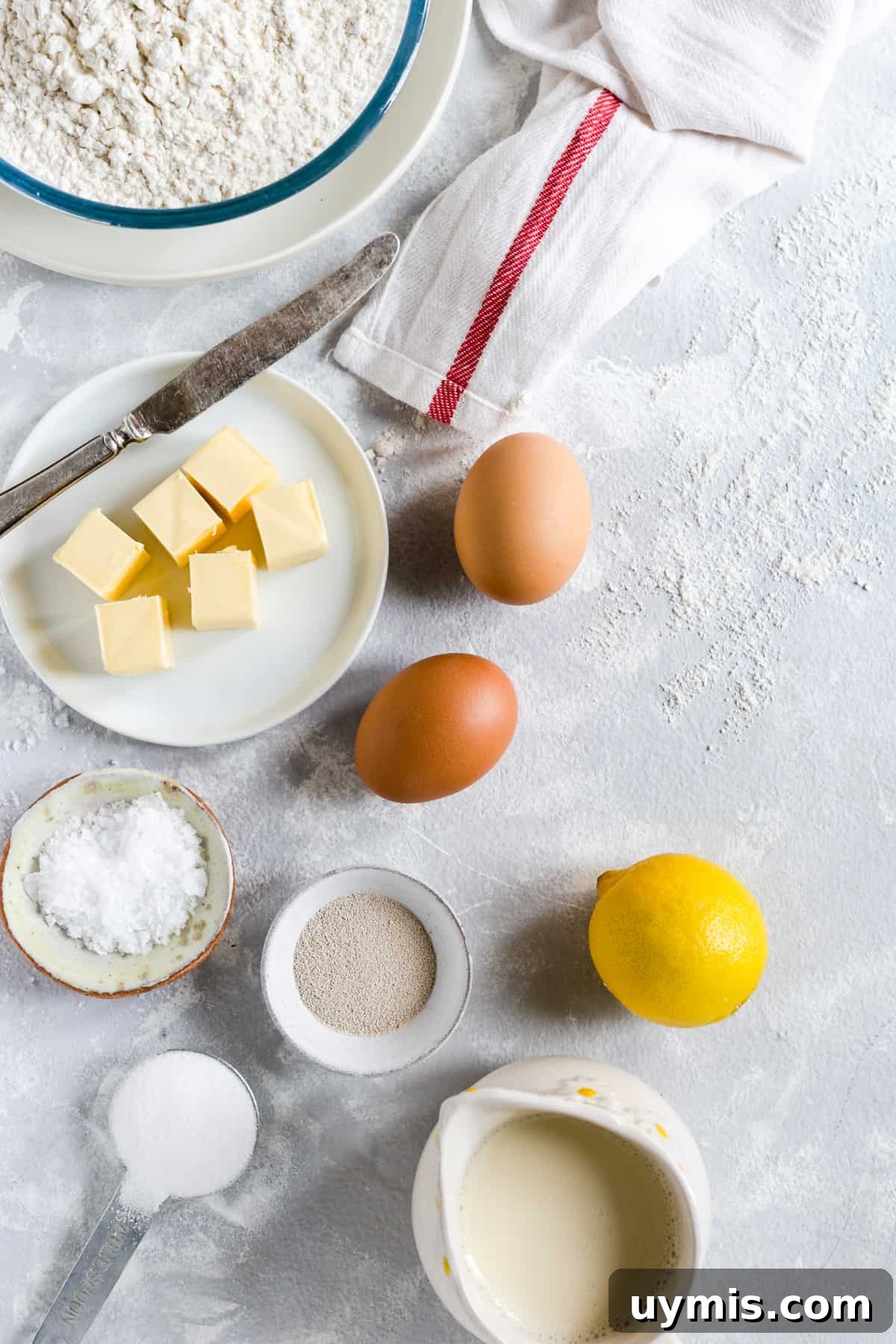 overhead shot of the ingredients for chocolate hazelnut babka buns dough
