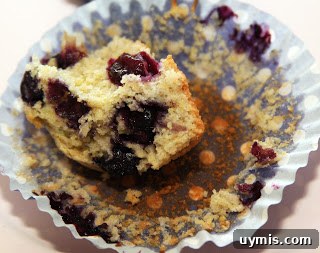 Rustic Blueberry Polenta Cupcakes Recipe 5 Blueberry Polenta Cupcakes - plated
