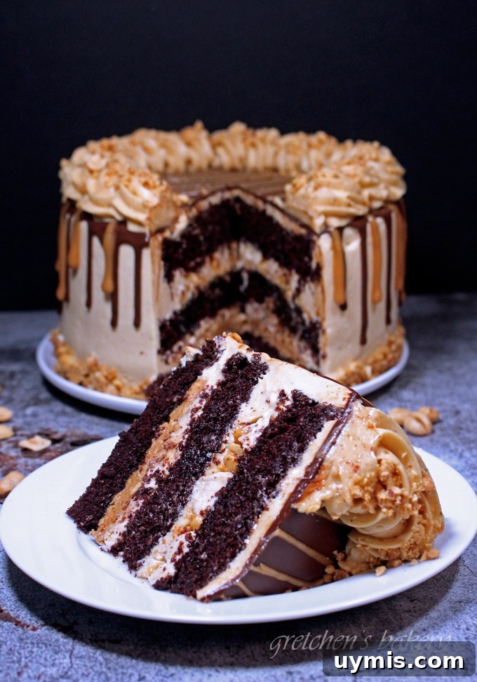 Snickers Cake ~Vegan