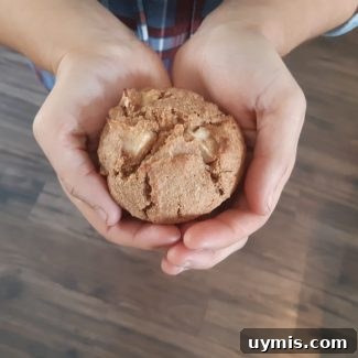 Whole Grain Apple Cinnamon Muffin Recipe 4 Whole Grain Apple Muffin Recipe
