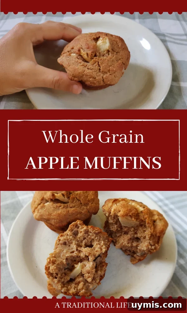 Whole Grain Apple Cinnamon Muffin Recipe 5 An easy apple muffin recipe