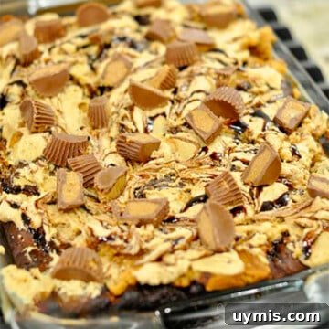 frosting, chocolate, and peanut butter cups on tops of a cake.