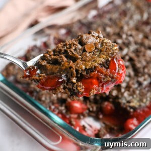 Chocolate Cherry Dump Cake Recipe 16 holding a spoonful of cherry chocolate dump cake in front of the baking dish.