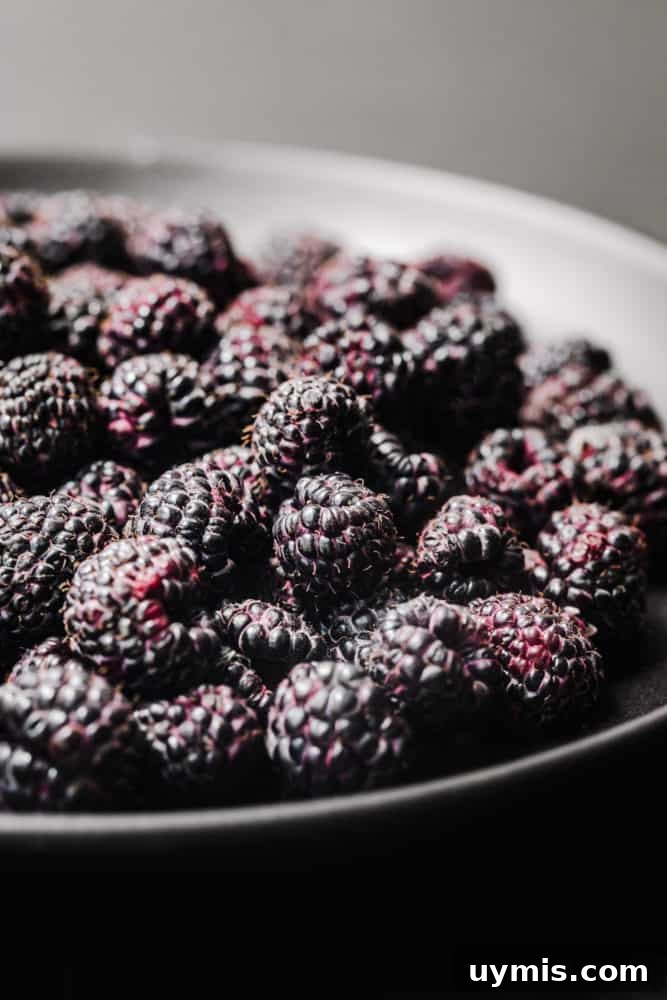 Summer Berry Galette with Fresh Seasonal Berries 5 Close-up of deep purple black raspberries.