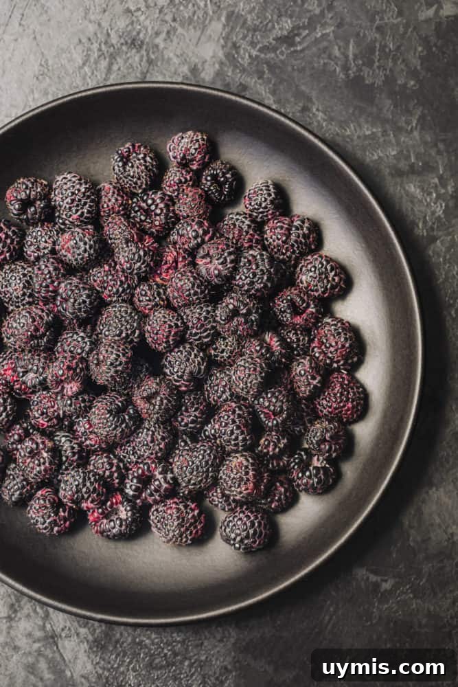 Summer Berry Galette with Fresh Seasonal Berries 6 Black plate filled with deep purple raspberries.