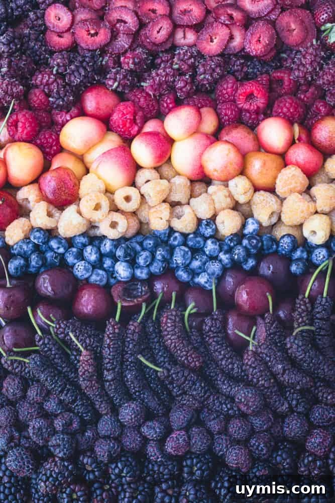 Summer Berry Galette with Fresh Seasonal Berries 7 A colorful berry rainbow with strawberries, raspberries, cherries, mulberries, blueberries, and tayberries.