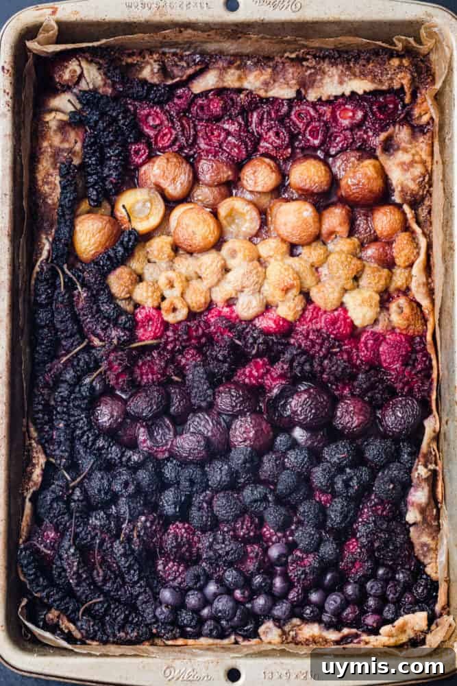 Summer Berry Galette with Fresh Seasonal Berries 9 Mixed berry galette after baking with a colorful fruit filling.