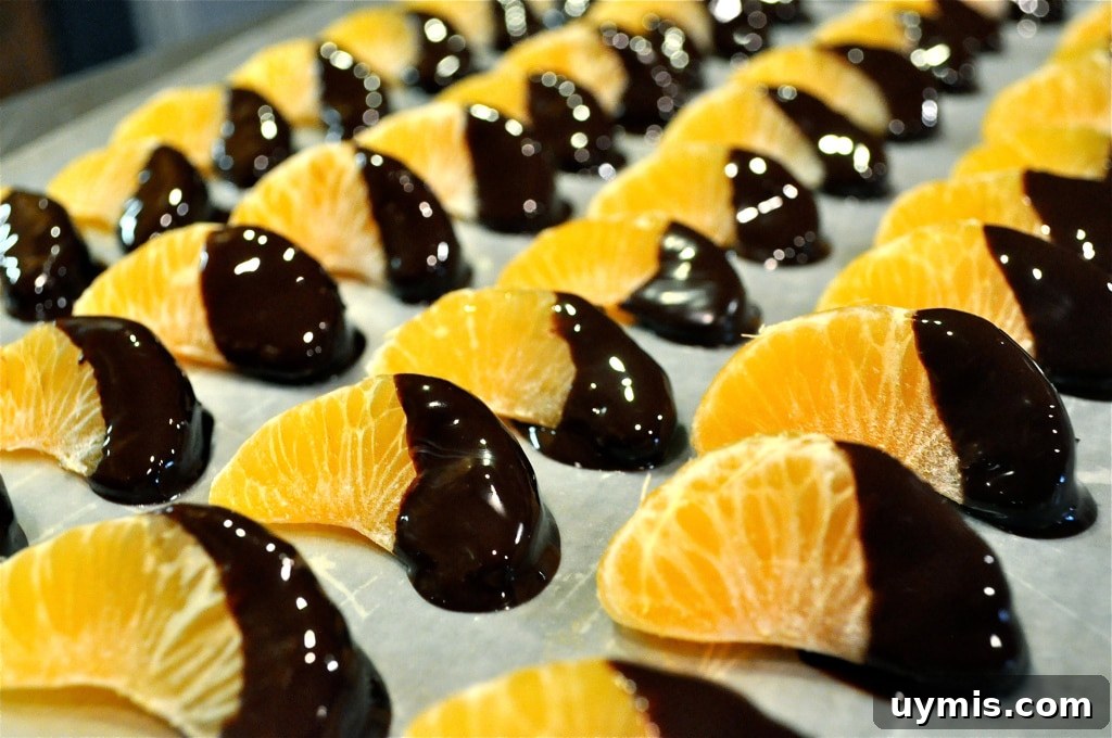 frozen chocolate orange bites