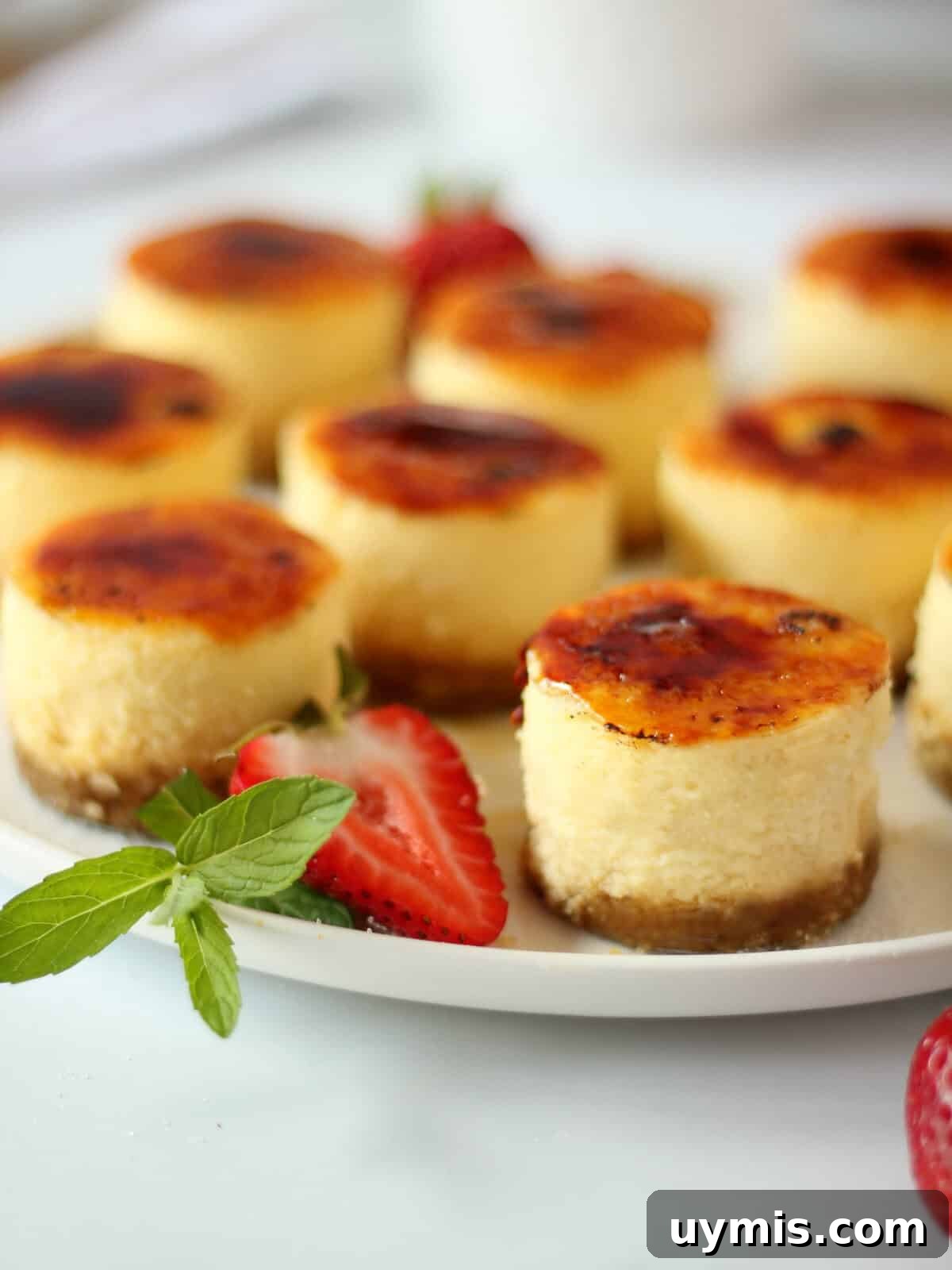 Mini Crème Brûlée Cheesecake Bites Recipe 2 Focus on mini cheesecake with crème brûlée flavour, caramelized top and strawberry with mint leaf next to it.