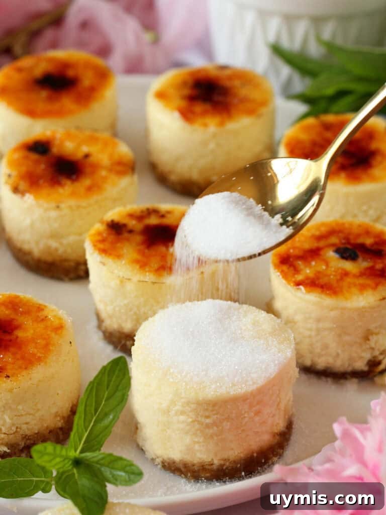 Mini Crème Brûlée Cheesecake Bites Recipe 18 Adding sugar on top of mini cheesecake with creme brulee flavour.